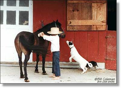 Amish_child_pony_bill_coleman_2 Amish_child_pony_bill_coleman_2