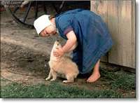 Amish_girl_puppy_bill_coleman_2 Amish_girl_puppy_bill_coleman_2
