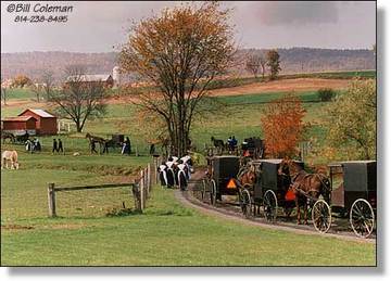 Bill_coleman_amish_gathering_2 Bill_coleman_amish_gathering_2