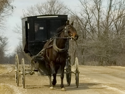 Old_order_mennonite_ontario_canada Old_order_mennonite_ontario_canada