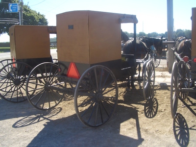 Cimg9513_2 Cimg9513_2