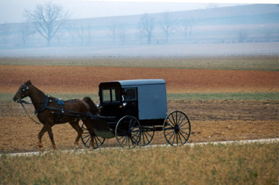 Amish_buggy Amish_buggy