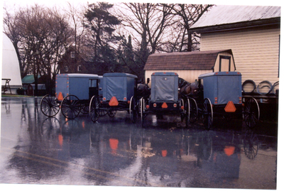 Buggies_lined_up Buggies_lined_up