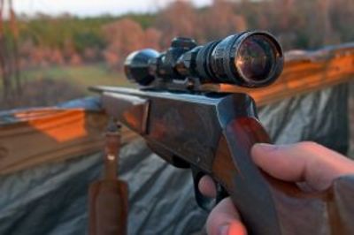 840859_rifle_and_scope_1 840859_rifle_and_scope_1