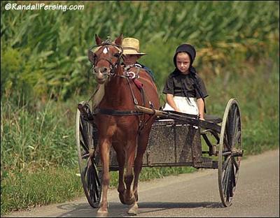 Cartandpony Cartandpony