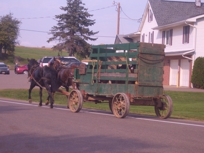 Amish_farm_wagon_ohio Amish_farm_wagon_ohio