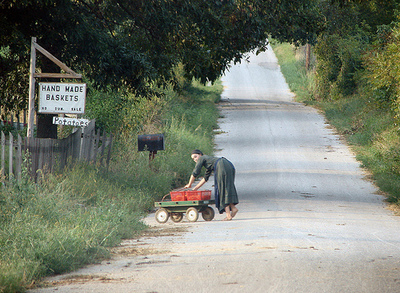 Amish_girl_and_wagon Amish_girl_and_wagon