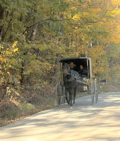 Orange_county_amish_buggy Orange_county_amish_buggy
