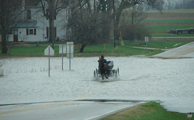 Amish_buggy_in_water Amish_buggy_in_water