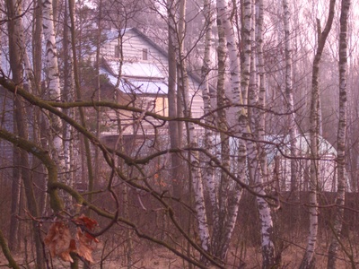 Birch_home_poland Birch_home_poland