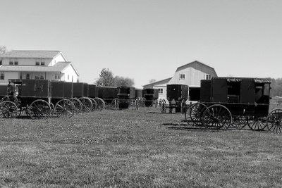 Amish church buggies Amish church buggies