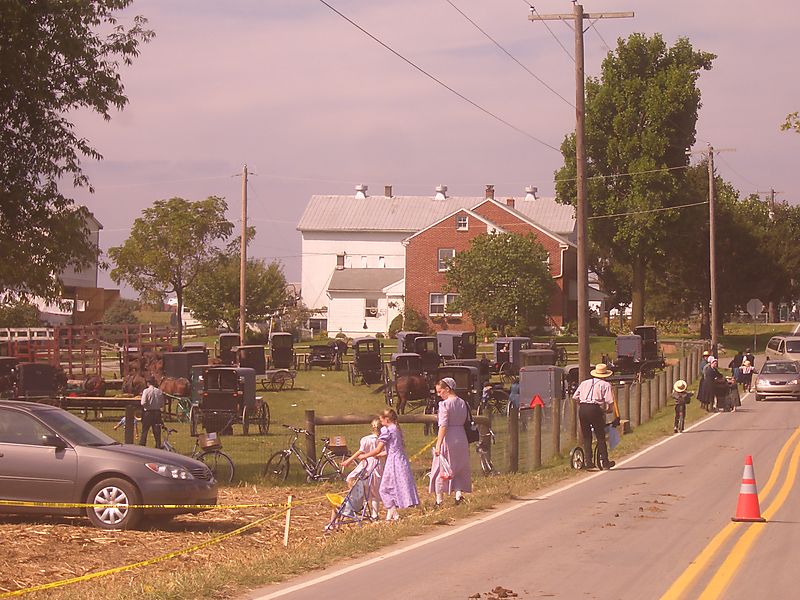 Clinic for special children Amish auction Lancaster PA Clinic for special children Amish auction Lancaster PA