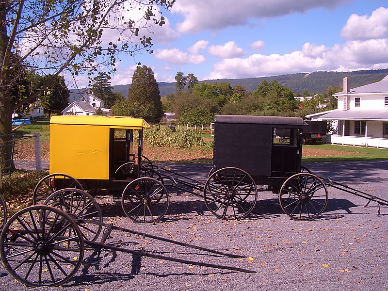 Big Valley buggy Byler Renno Amish Big Valley buggy Byler Renno Amish