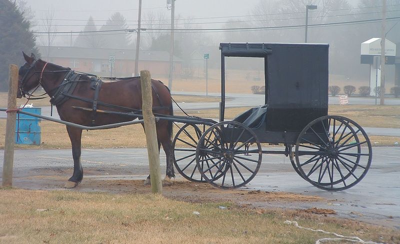 Orange County Indiana Amish Cindy Seigle Orange County Indiana Amish Cindy Seigle