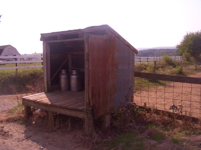 Amish_swartzentruber_milk_pails Amish_swartzentruber_milk_pails